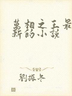 万相之王最快更新的小说