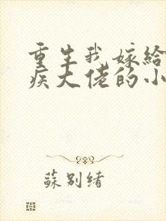 重生我嫁给了残疾大佬的小说