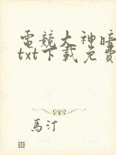 电竞大神暗恋我txt下载免费