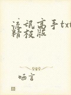 流氓高手txt精校版