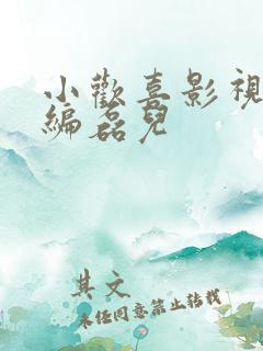 小欢喜影视剧改编磊儿