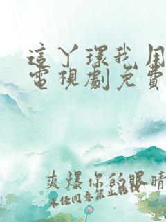 这丫环我用不起电视剧免费观看