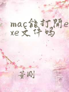 mac能打开exe文件吗