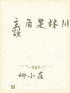 主角是林川的小说
