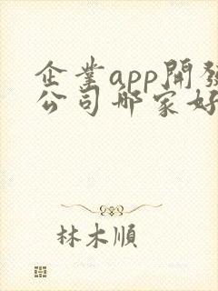 企业app开发公司哪家好