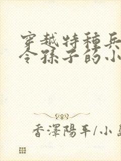 穿越特种兵成司令孙子的小说