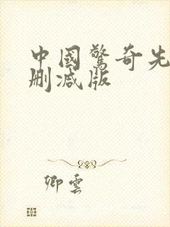 中国惊奇先生无删减版