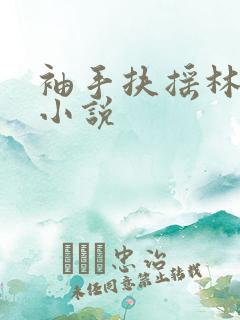 袖手扶摇林凡的小说