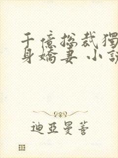 千亿总裁独宠替身娇妻 小说完整