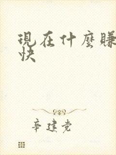 现在什么赚钱最快