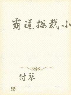 霸道总裁小甜妻