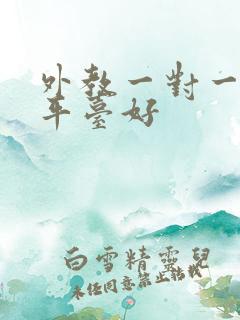 外教一对一哪个平台好