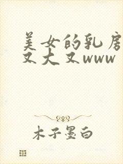 美女的乳房又黄又大又www