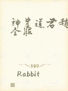 神农道君赵兴完全版