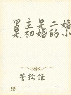 男主是二婚女主是初婚的小说