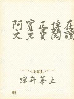 阿宾正传在线全文免费阅读无删减