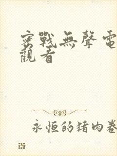 密战无声电视剧观看