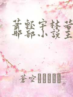 萧轻宇林若雪是哪部小说主角