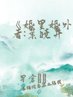 《婚里婚外》作者:叶晓井