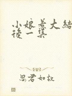 小娘惹大结局最后一集