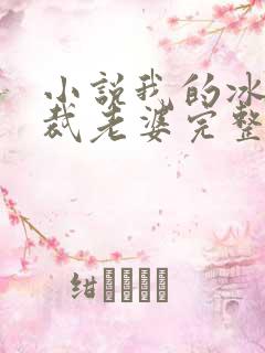 小说我的冰山总裁老婆完整版