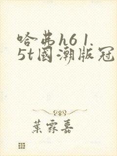 哈弗h6 1.5t国潮版冠军