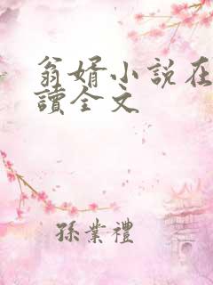 翁婿小说在线阅读全文