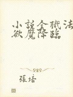 小说全职法师之欲魔降临