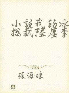 小说我的冰山女总裁陆尘李清瑶