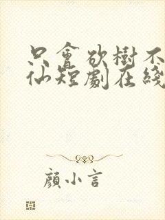 只会砍树不会修仙短剧在线观看