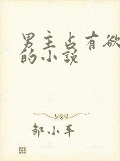 男主占有欲很强的小说