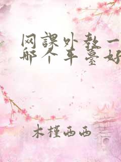 网课外教一对一哪个平台好