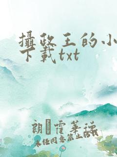 摄政王的小闲妻下载txt