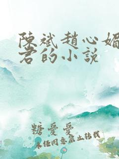 陈斌赵心媚高婉君的小说