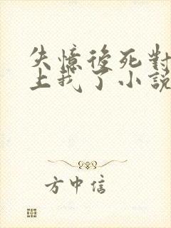 失忆后死对头黏上我了小说