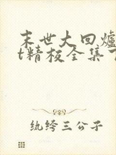 末世大回炉txt精校全集下载