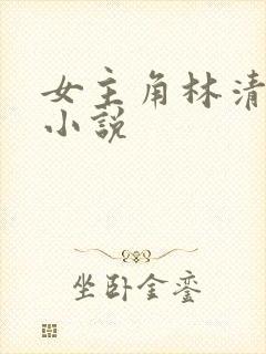 女主角林清婉的小说