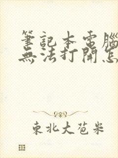 笔记本电脑文件无法打开怎么办