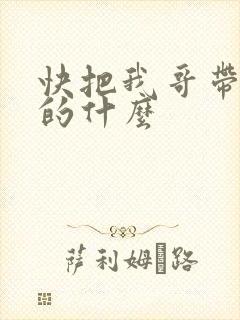 快把我哥带走讲的什么