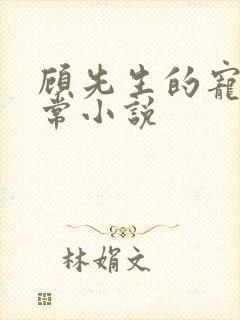 顾先生的宠妻日常小说