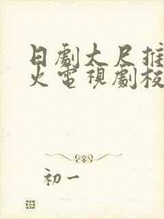 日剧大尺推荐最火电视剧校园