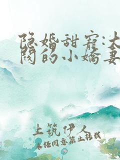 隐婚甜宠:大财阀的小娇妻