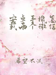 安卓手机怎样下载两个微信软件