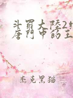 斗罗大陆2绝世唐门中的王冬