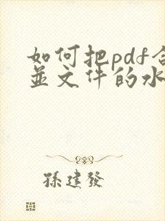 如何把pdf合并文件的水印去除