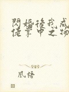 闪婚后我成了大佬掌中之物马小宇