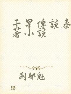 千星传说泰剧原著小说