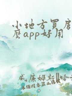 小地方买房子什么app好用