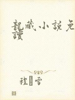 龙藏小说免费阅读