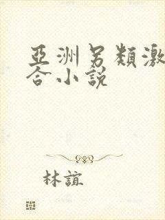 亚洲另类激情综合小说